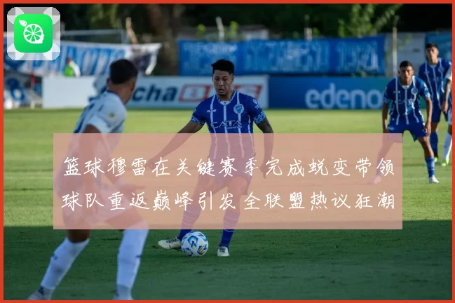 篮球穆雷在关键赛季完成蜕变带领球队重返巅峰引发全联盟热议狂潮