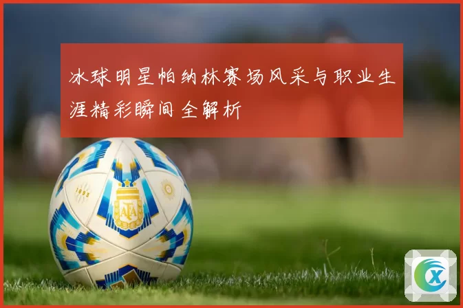 冰球明星帕纳林赛场风采与职业生涯精彩瞬间全解析