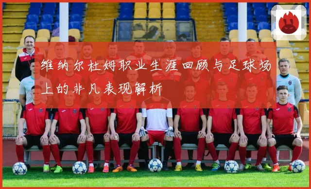 维纳尔杜姆职业生涯回顾与足球场上的非凡表现解析