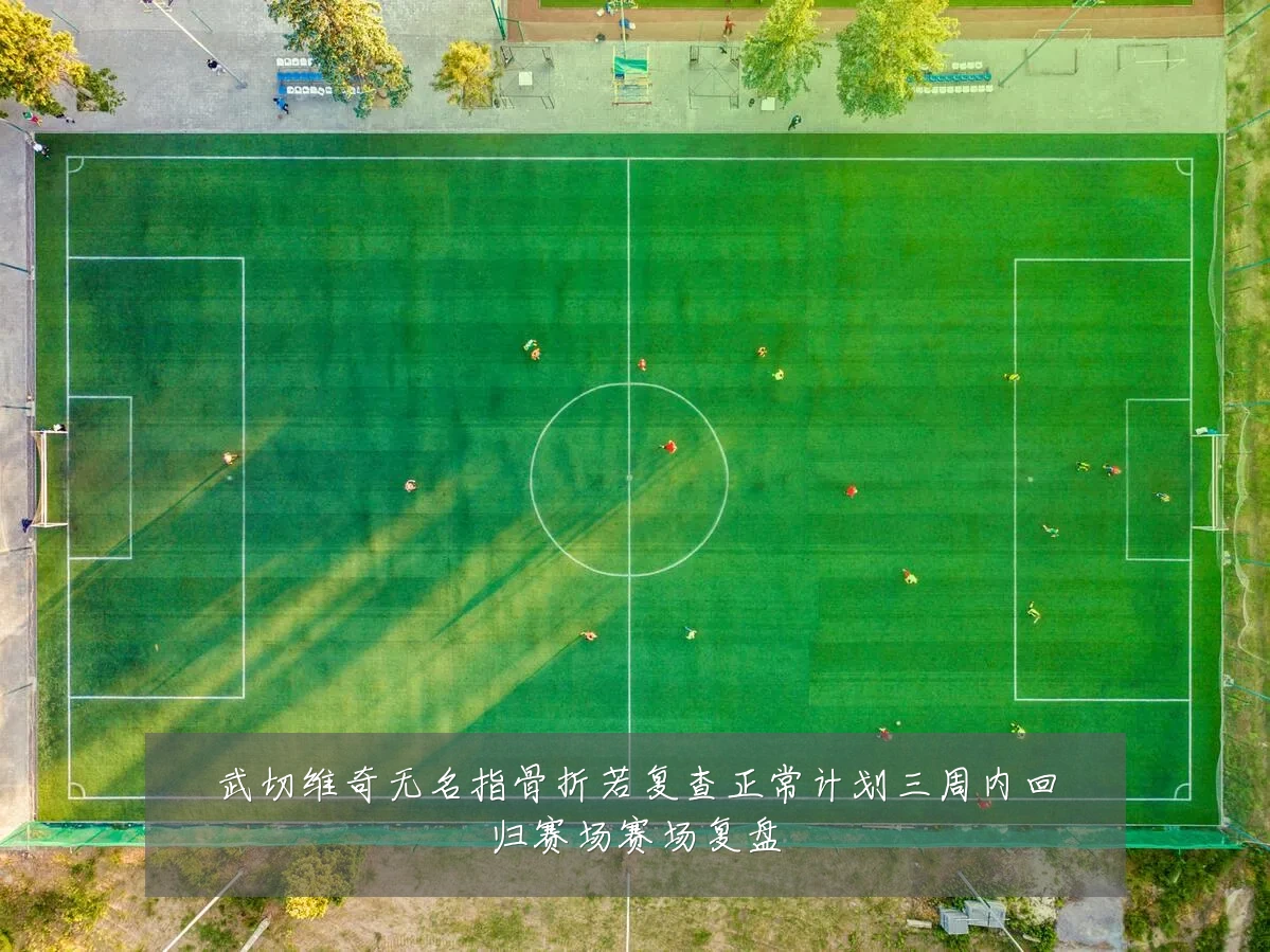 武切维奇无名指骨折若复查正常计划三周内回归赛场赛场复盘