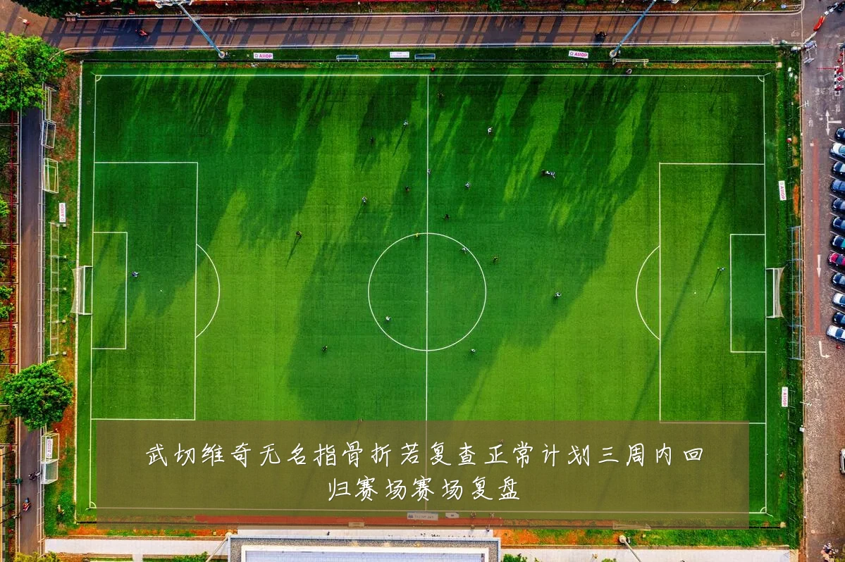武切维奇无名指骨折若复查正常计划三周内回归赛场赛场复盘